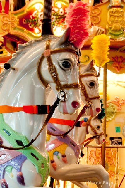 Horsin around