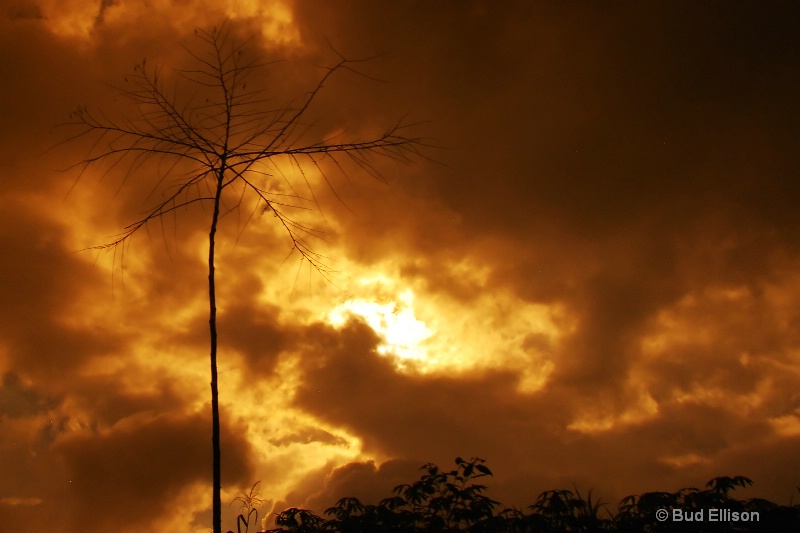 Approaching Afternoon Storm