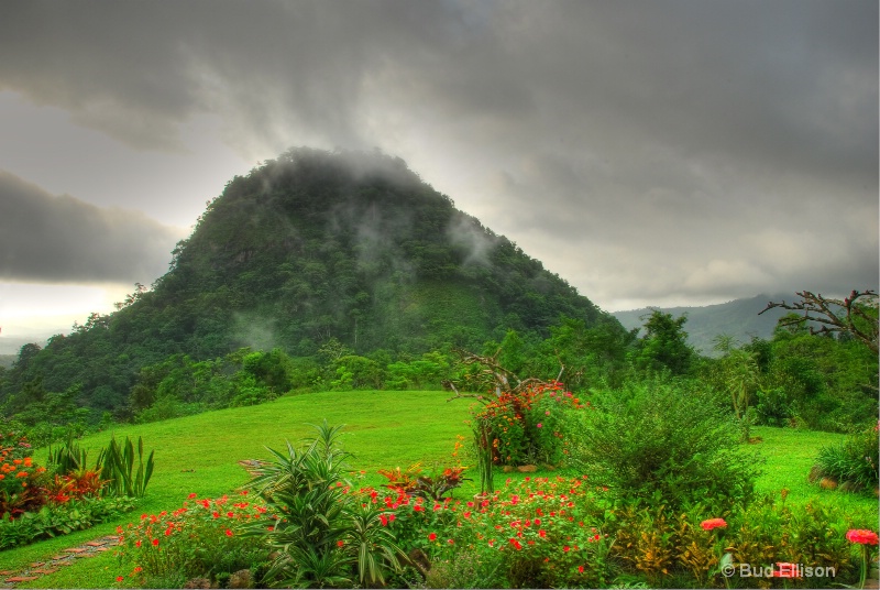 Cerro La Vieja In The Mist