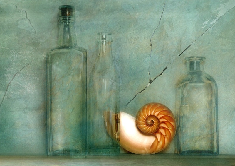 Bottles with shell