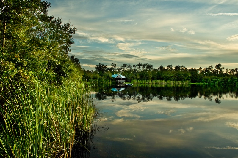 Cypress Lake reflection