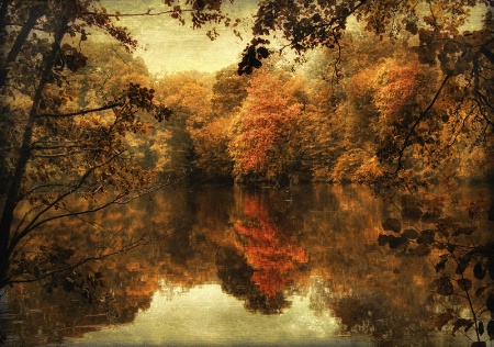 Fall Reflected