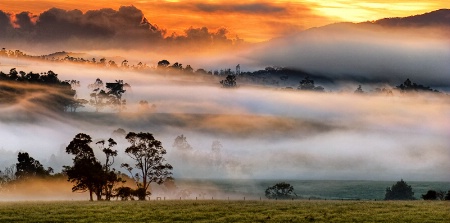 Tablelands Mist