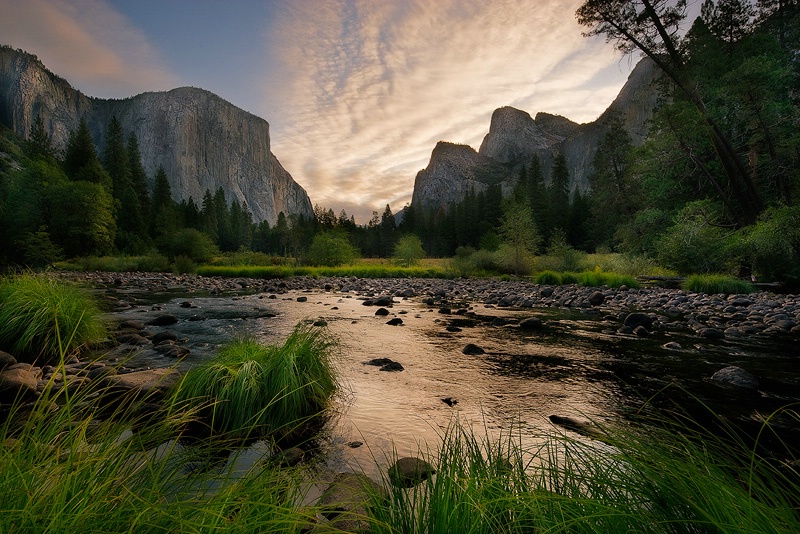 Early Morning Light