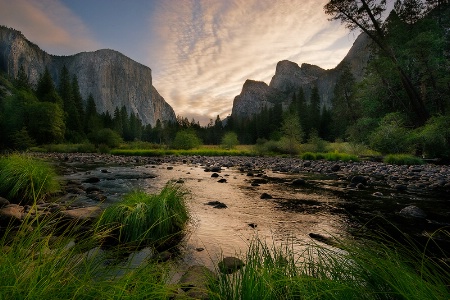 Early Morning Light