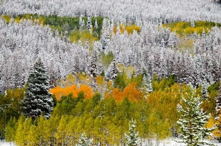 A Dusting of Snow