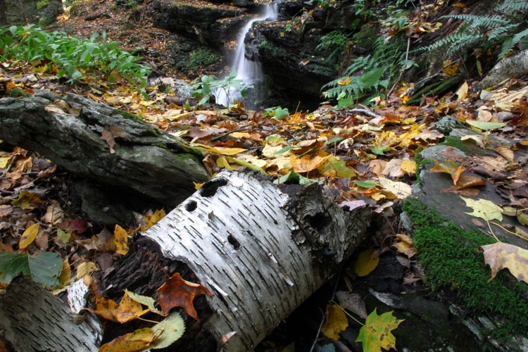 "Gunn Brook Falls" Sunderland,Ma.