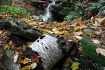 "Gunn Brook F...