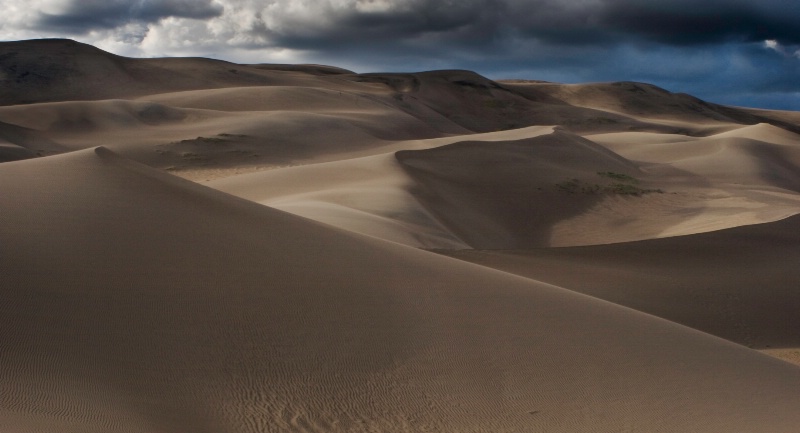 Great Sand Dunes NP - ID: 9160859 © Patricia A. Casey