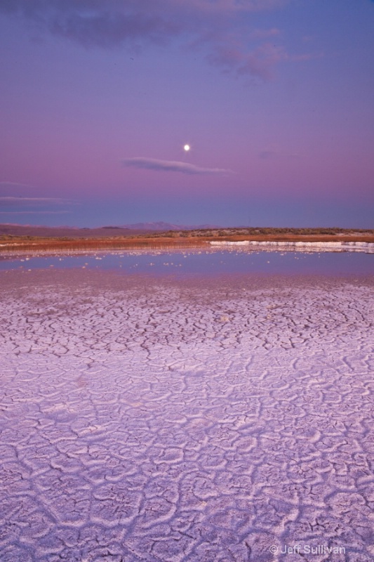 California Sunset Moonrise