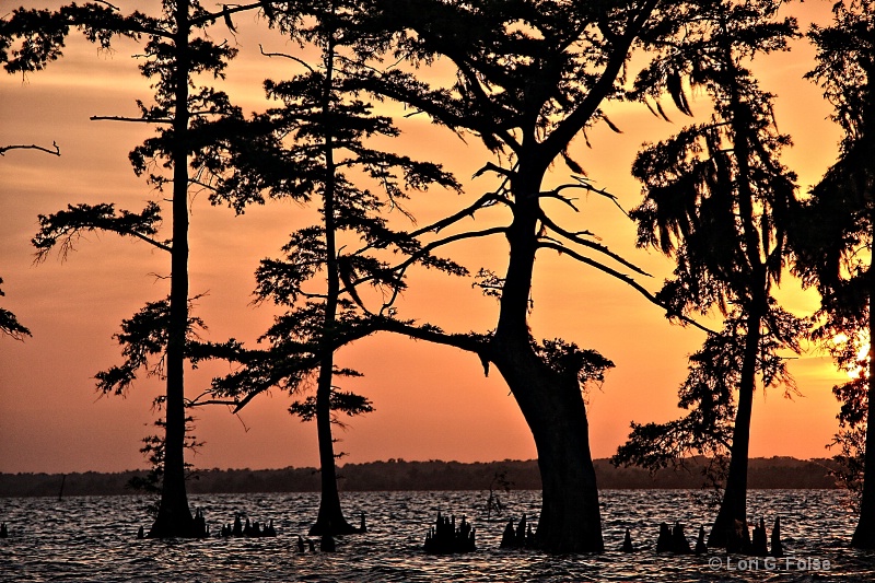 Evening on the Bayou