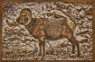 big horn