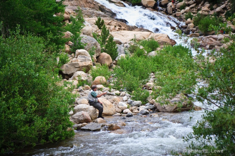Fishing at the Alluvial Fan, Rocky Mountain Nation - ID: 9167841 © Sharon E. Lowe