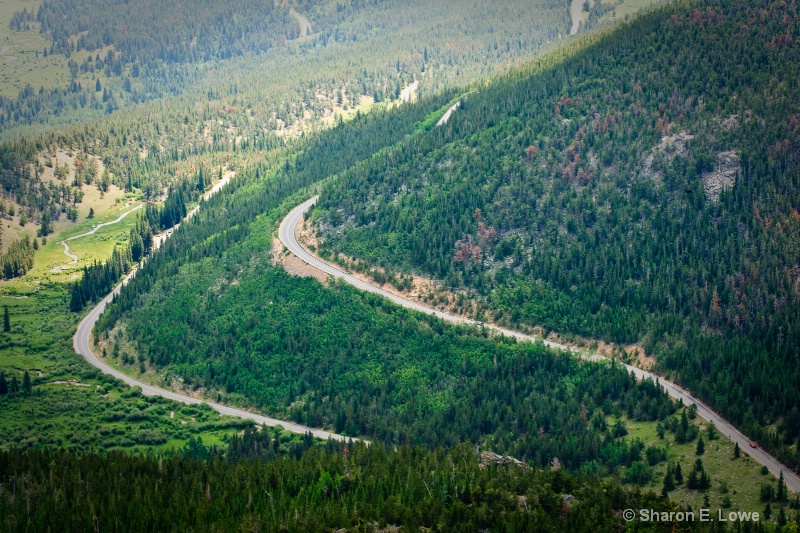 Trail Ridge Road, Rocky Mountain National Park - ID: 9167854 © Sharon E. Lowe