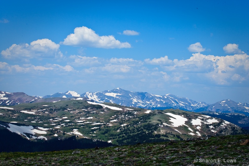 Rocky Mountain National Park, Colorado - ID: 9167862 © Sharon E. Lowe