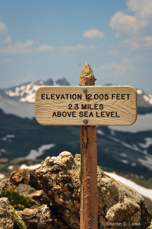 2.3 miles above seal level, Rocky Mountain Nationa - ID: 9167865 © Sharon E. Lowe