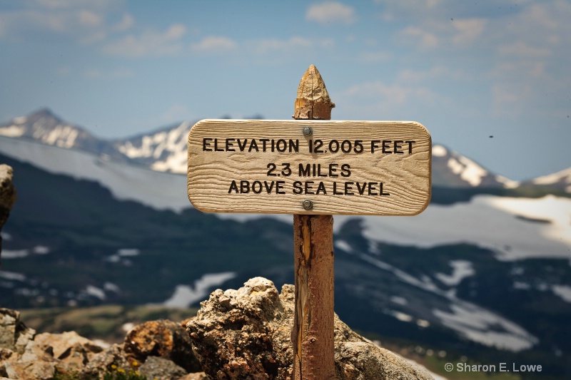 2.3 miles above sea level - ID: 9167891 © Sharon E. Lowe