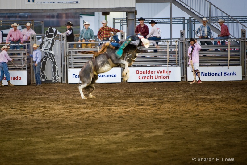 Rodeo, Estes Park, Colorado - ID: 9167894 © Sharon E. Lowe