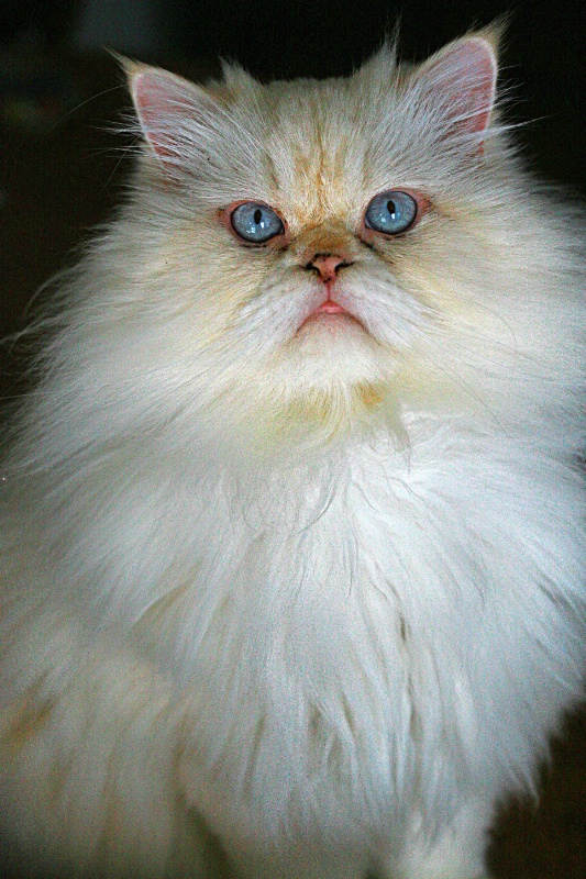 img2