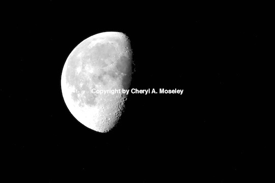 Winter Moon - ID: 9175258 © Cheryl  A. Moseley