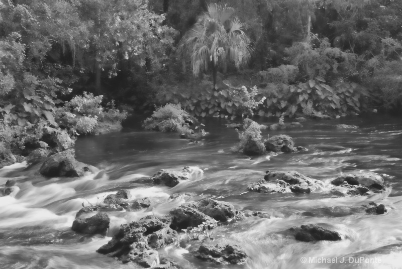 Hillsborough River Rapids