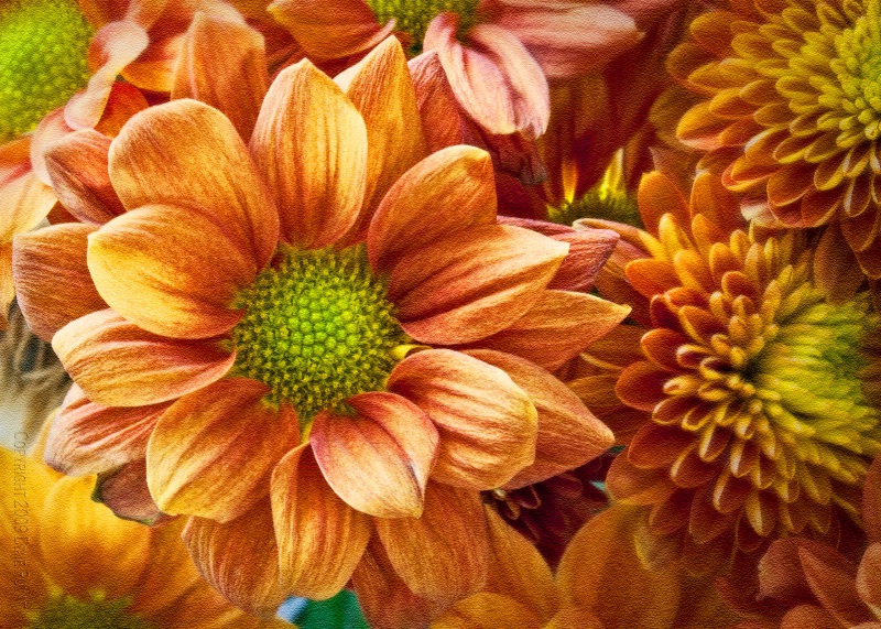 Watercolor Orange Flowers