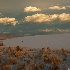 © Sharon L. Langfeldt PhotoID # 9185726: White Sands Sunset
