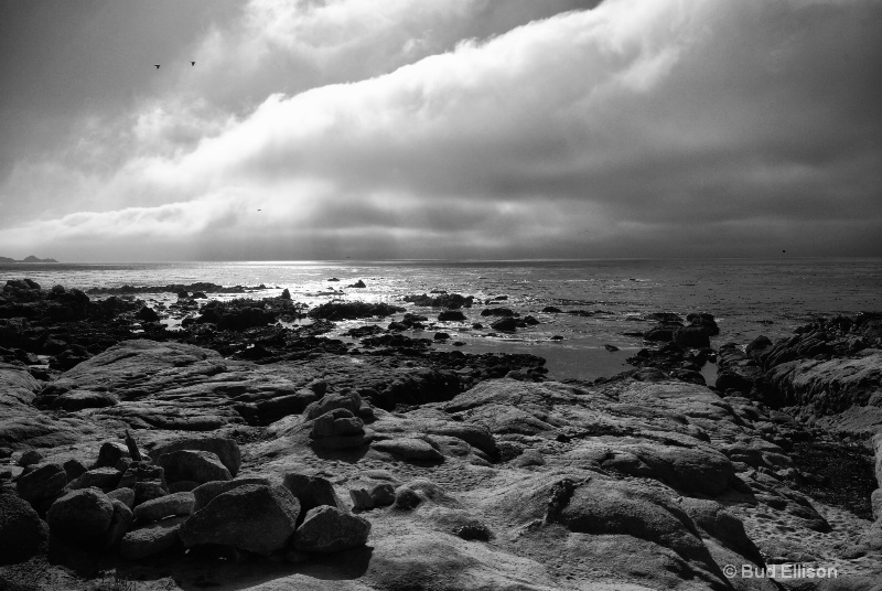 Pacific Coast At Carmel