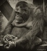 Thinking