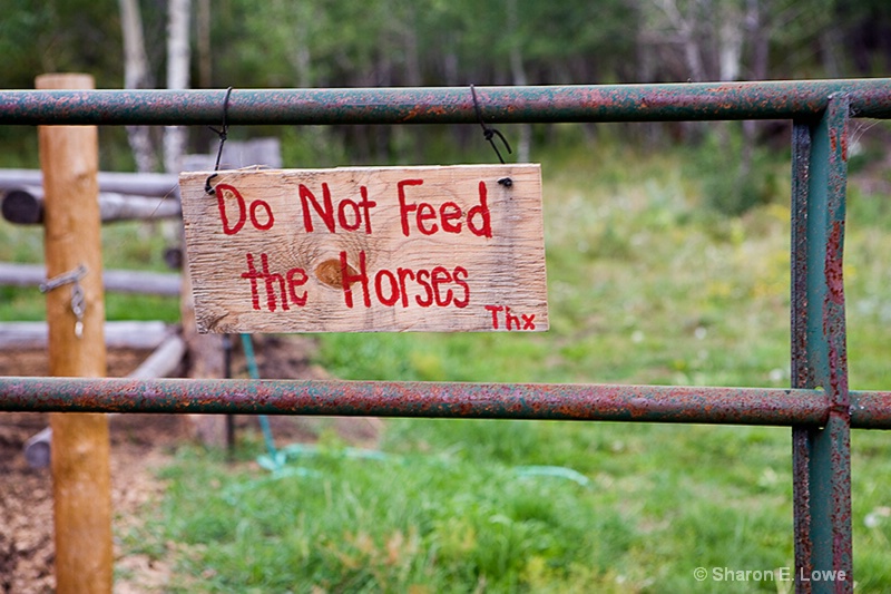 Don't Feed the Horses, Lane Guest Ranch