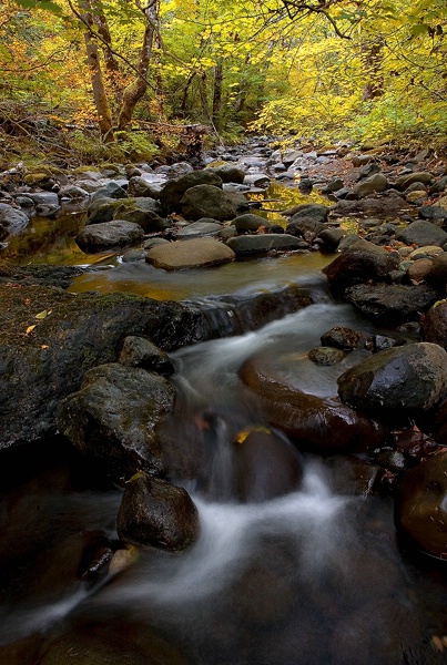 Autumn Stream - ID: 9196614 © william (. Dodge