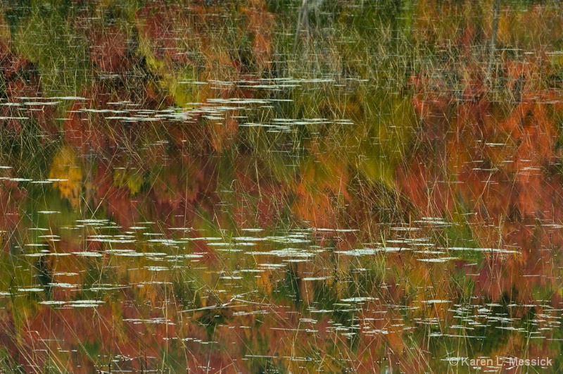 Fall Pond Reflection - ID: 9200790 © Karen L. Messick