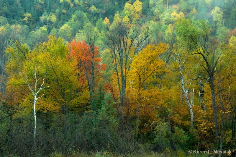 Autumn Colors - ID: 9200793 © Karen L. Messick