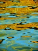 Bizarre Reflectio...