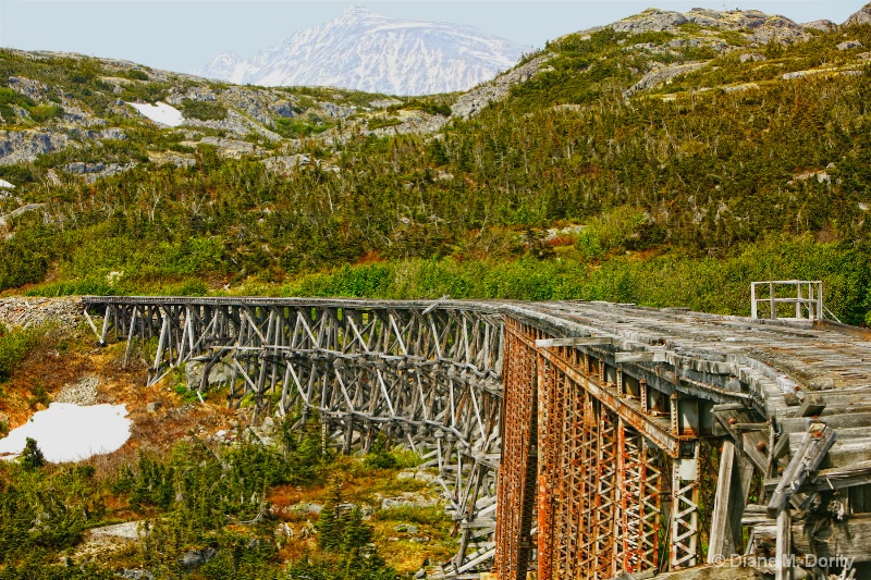 Abandoned Tracks