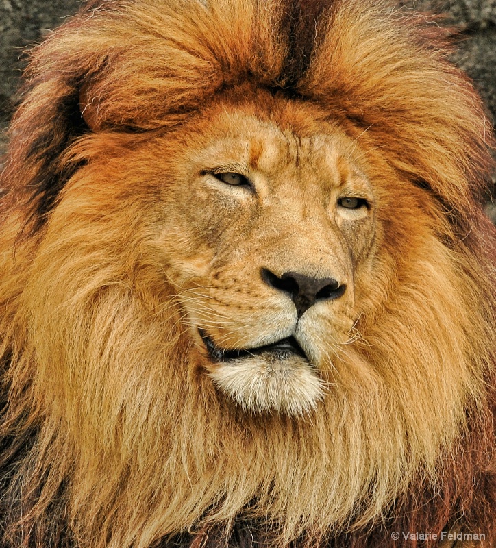 img12