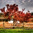 © Elliot Barnathan PhotoID# 9209078: Titusville 1