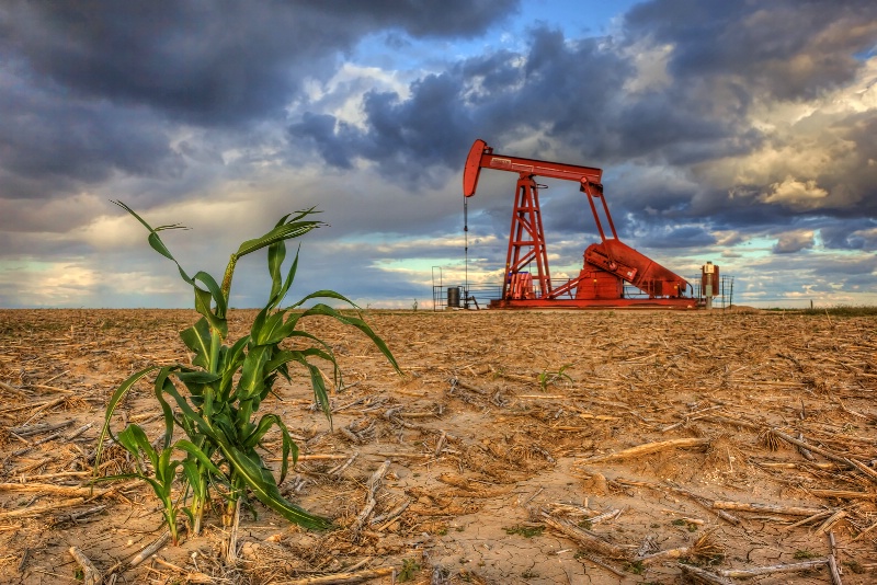 Two Kansas Crops