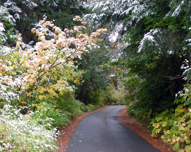 Oregonian Autumn