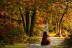 A Walk in the Par...