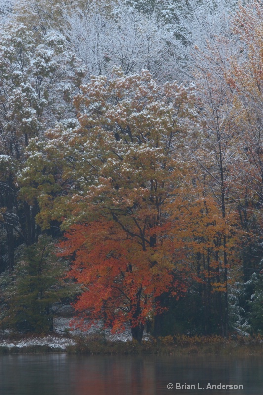 Snow and Autum Colors