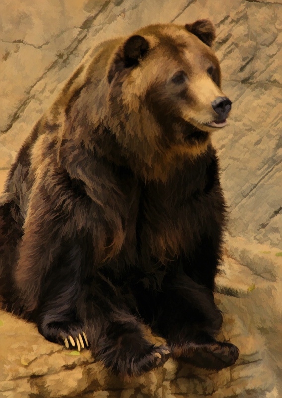 sitting bear