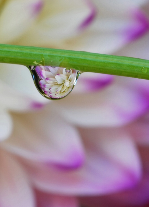 Reflection in water drop
