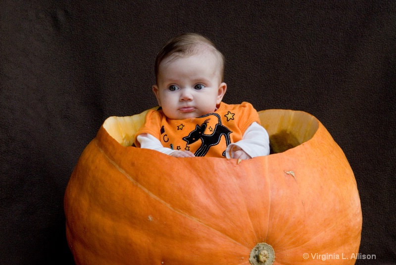 Our Little Pumpkin