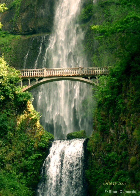 Multnomah Falls, Oregon - ID: 9233504 © Sheri Camarda