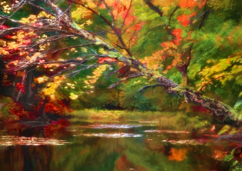 Watercolored Fall