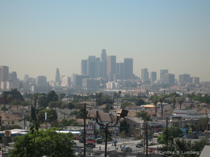 Hilltop View - Dowtown Los Angeles, CA - ID: 9234250 © Cynthia S. Lumberg