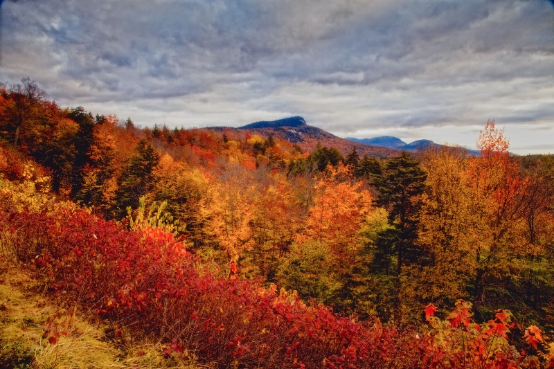 vermont Colors