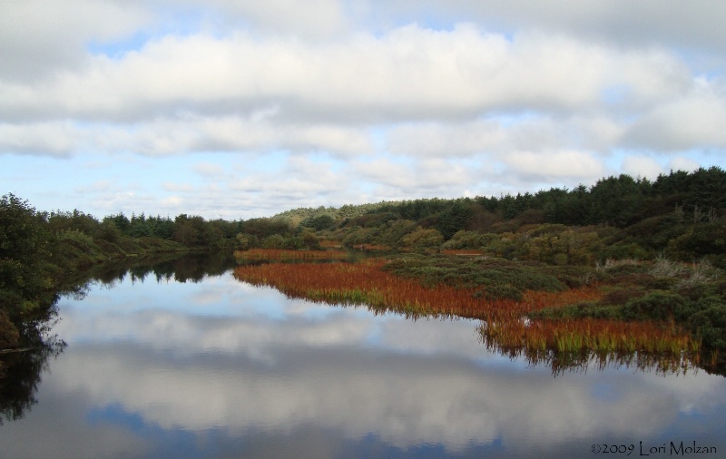 "Reflections of the Fall"