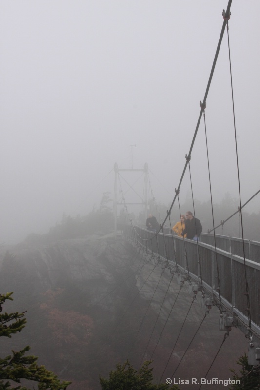 Mile High Swinging Bridge - ID: 9236891 © Lisa R. Buffington